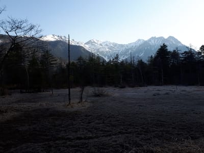 20190512_064110.jpg