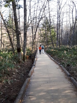 20190512_064721.jpg