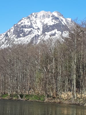 20190512_065124.jpg