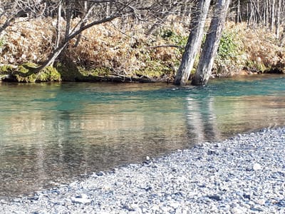20190512_065234.jpg