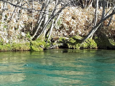 20190512_065254.jpg