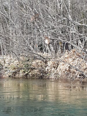20190512_065316.jpg