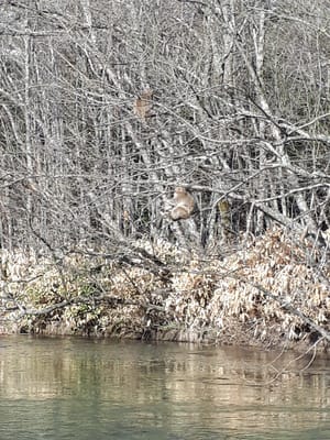 20190512_065326.jpg