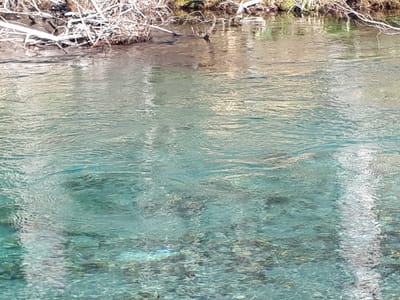 20190512_065456.jpg