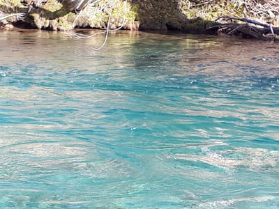 20190512_065648.jpg