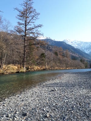 20190512_065725.jpg