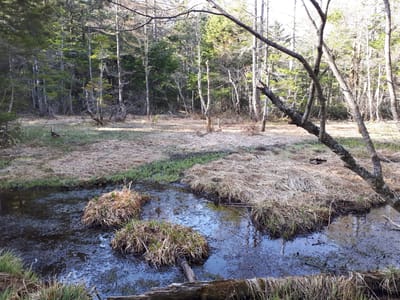 20190512_070740.jpg