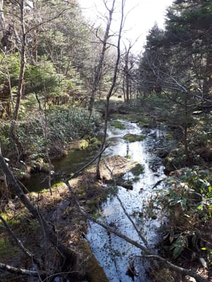 20190512_070841.jpg