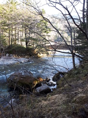 20190512_070955.jpg