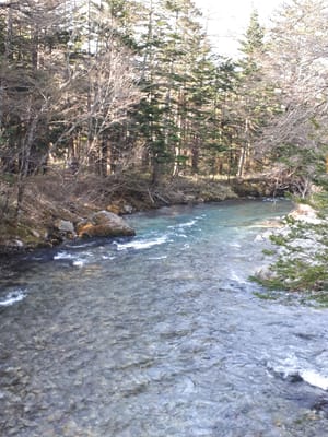 20190512_071110.jpg