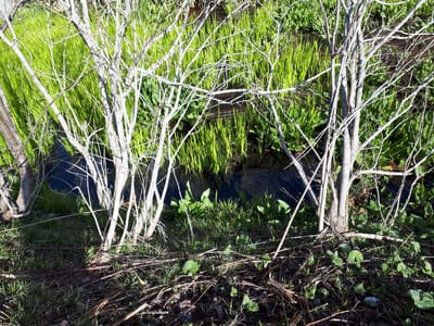 20190512_072832.jpg