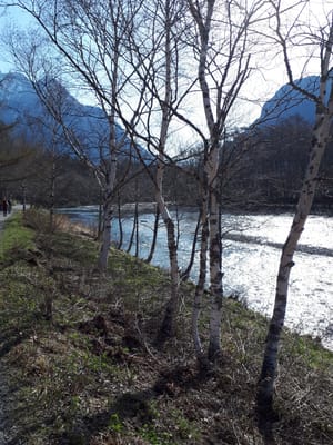 20190512_073005.jpg