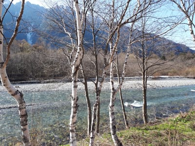 20190512_073019.jpg