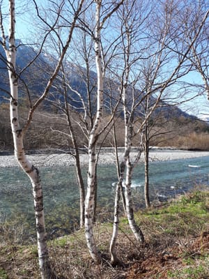 20190512_073028.jpg