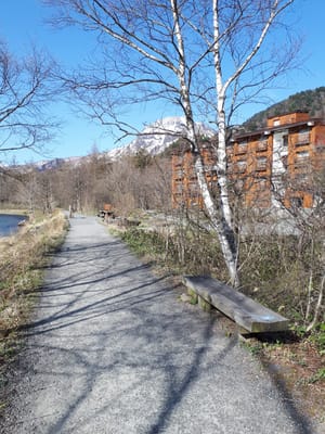 20190512_073035.jpg