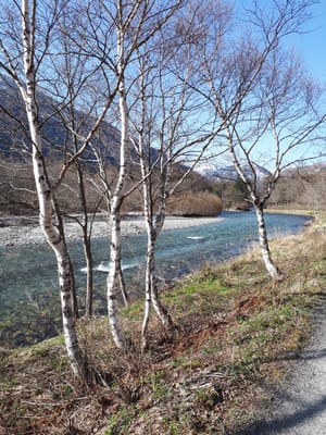20190512_073045.jpg