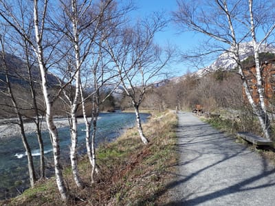 20190512_073111.jpg
