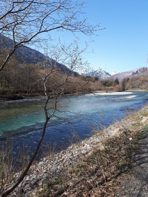 20190512_073506.jpg