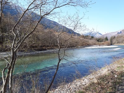 20190512_073511.jpg