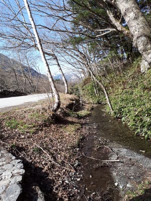 20190512_073803.jpg