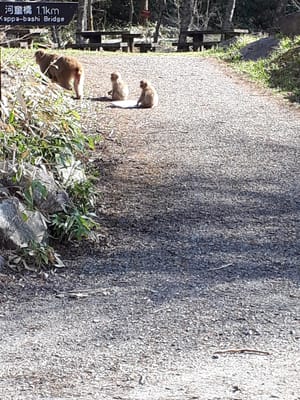 20190512_074224.jpg