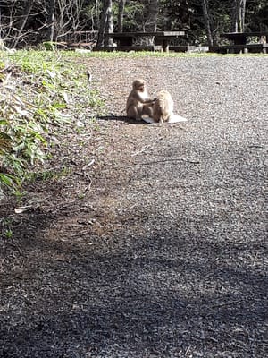 20190512_074252.jpg