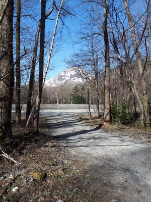 20190512_074740.jpg