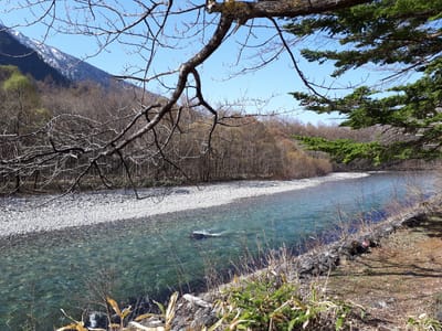 20190512_075522.jpg