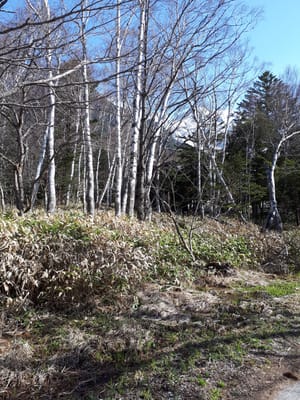 20190512_080034.jpg