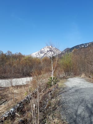 20190512_080133.jpg