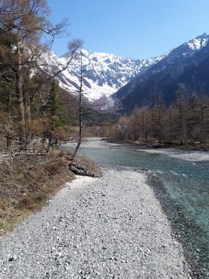 20190512_080838.jpg