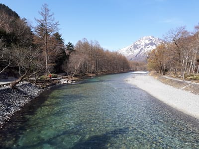 20190512_080953.jpg