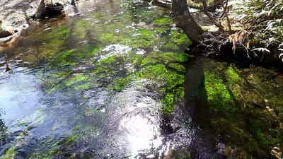 20190512_082341.mp4