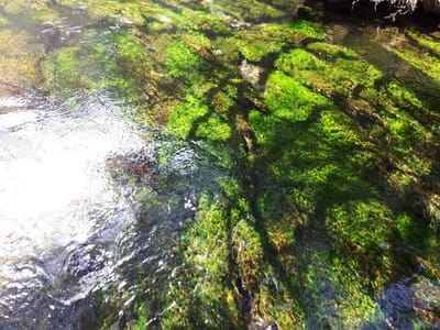 20190512_082411.jpg