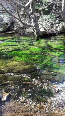 20190512_082510.mp4