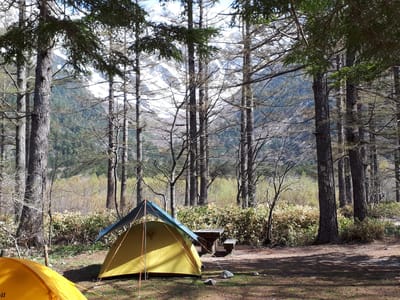 20190512_084337.jpg