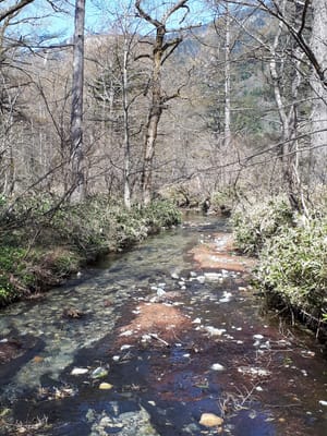 20190512_084439.jpg