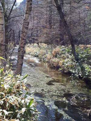 20190512_084453.jpg