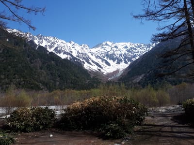 20190512_084648.jpg