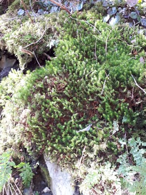 20190512_085139.jpg