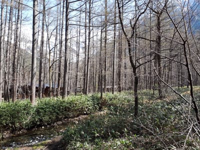 20190512_085243.jpg