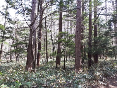 20190512_085345.jpg