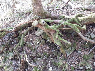 20190512_085733.jpg