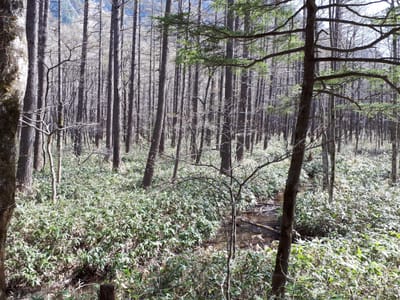 20190512_085754.jpg