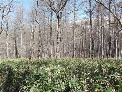 20190512_085953.jpg