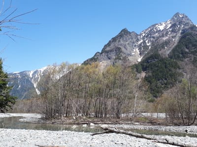 20190512_092231.jpg