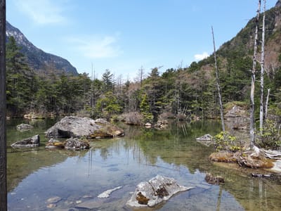 20190512_102255.jpg