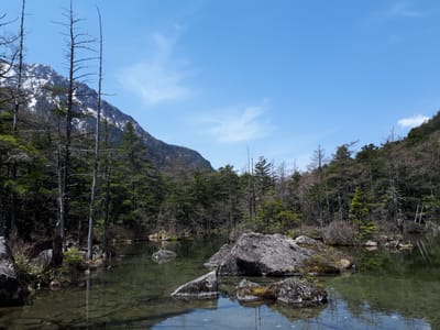 20190512_102317.jpg