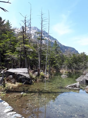 20190512_102323.jpg