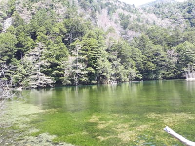 20190512_102453.jpg